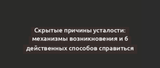 Скрытые причины усталости: механизмы возникновения и 6 действенных способов справиться