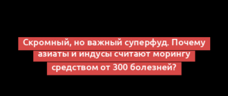 Скромный, но важный суперфуд. Почему азиаты и индусы считают морингу средством от 300 болезней?