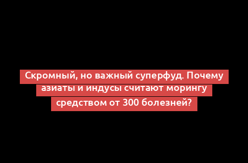 Скромный, но важный суперфуд. Почему азиаты и индусы считают морингу средством от 300 болезней?