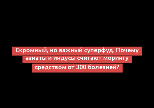 Скромный, но важный суперфуд. Почему азиаты и индусы считают морингу средством от 300 болезней?