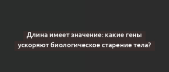 Длина имеет значение: какие гены ускоряют биологическое старение тела?