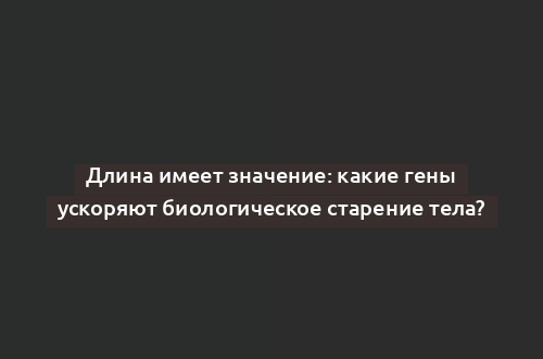 Длина имеет значение: какие гены ускоряют биологическое старение тела?