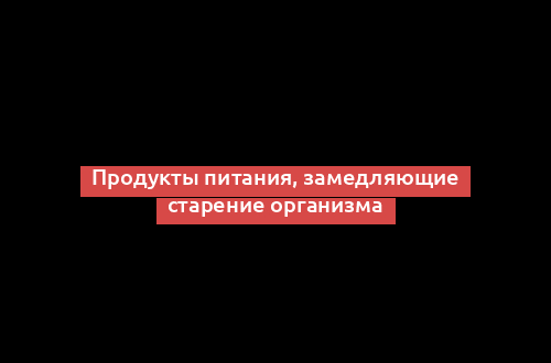 Продукты питания, замедляющие старение организма